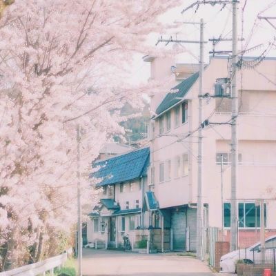 大发国际手机app下载